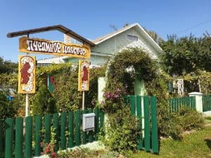 Пчелиное царство в Славгороде