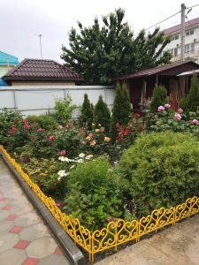 Отдых в Анапе из Гомеля Гранат Джемете