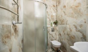 ИЗУМРУД 3Х-местный номер