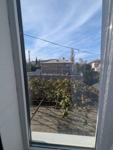 Руно_Абхазия_номер