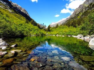 Отпуск в горах Домбая