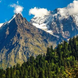 Отпуск в горах Домбая - ущелье Алибек