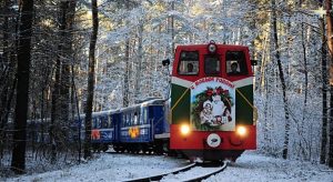 Новый год в Беларуси