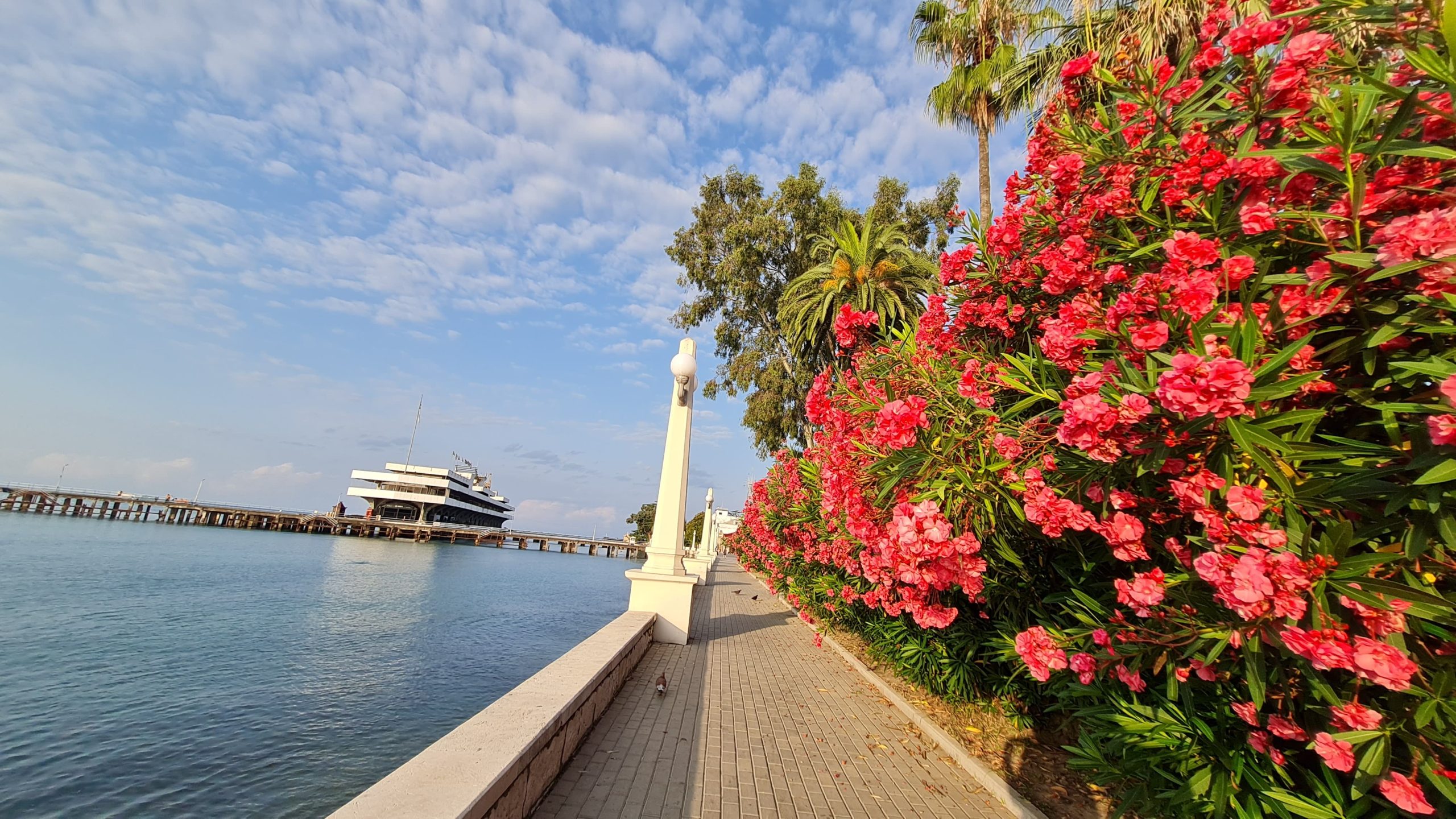 🚍 Абхазия. Сухум. Отель «Страна Души» (Все включено).