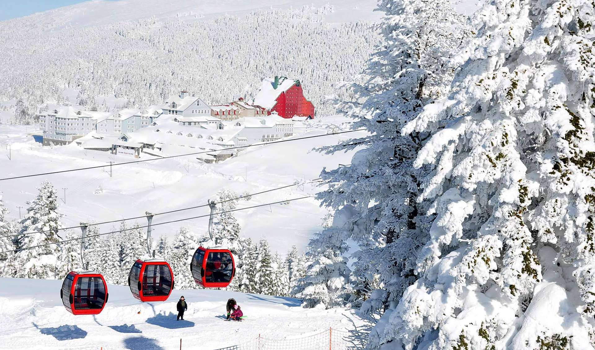 Отель Россия Домбай