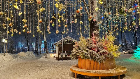 Смоленск зима
